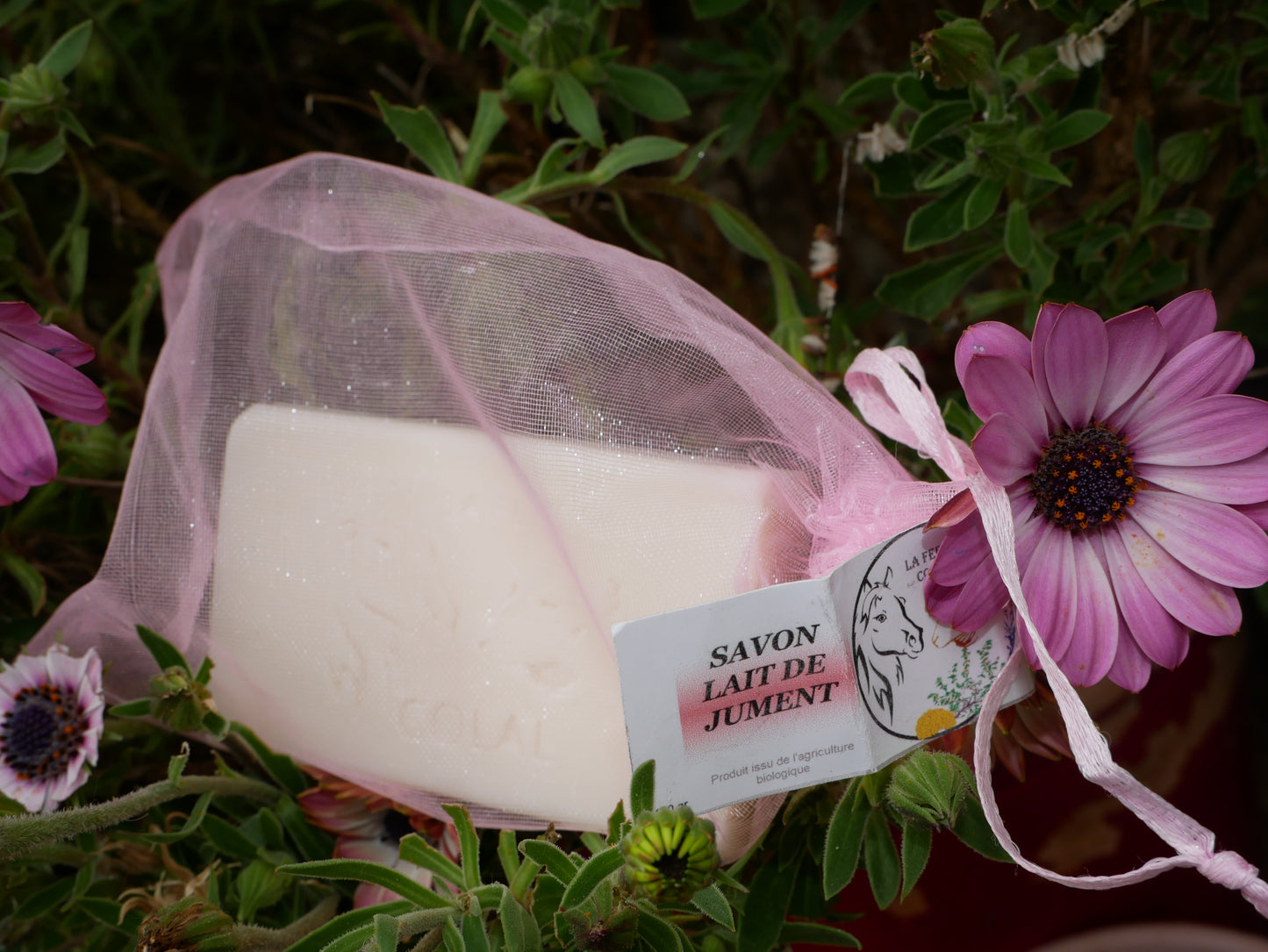 Savon au lait de jument
