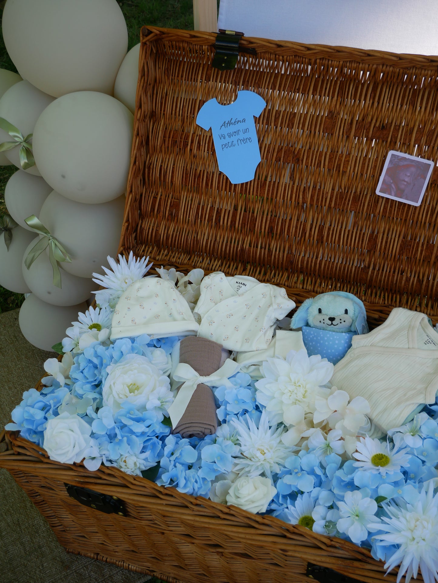 Location de la Malle Fleurie Gender Reveal