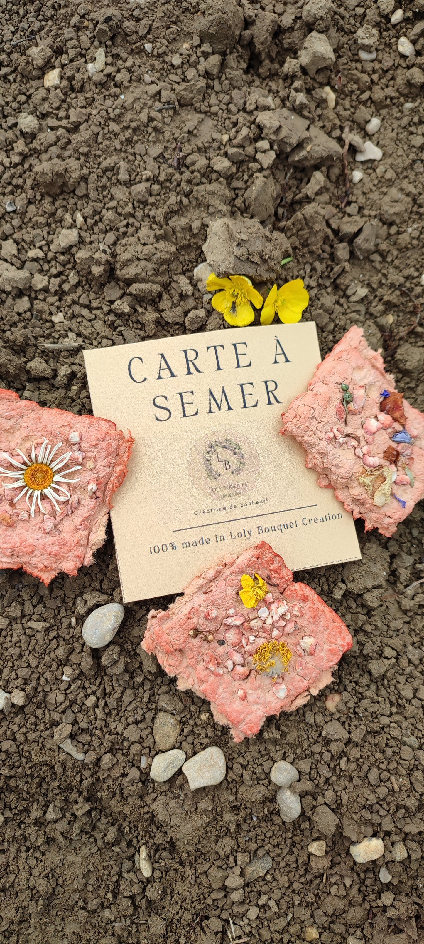 Carte à semer fleurs des champs